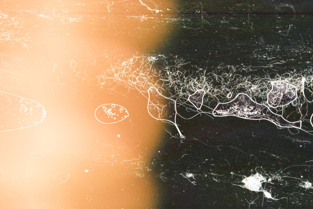 Experimental Photography